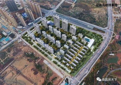 南昌华侨城爆料案件最新,真相揭秘，事件最新进展梳理